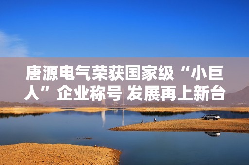 唐源电气荣获国家级“小巨人”企业称号 发展再上新台阶