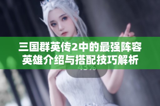 三国群英传2中的最强阵容英雄介绍与搭配技巧解析