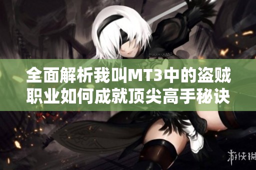 全面解析我叫MT3中的盗贼职业如何成就顶尖高手秘诀