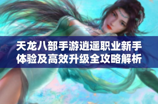 天龙八部手游逍遥职业新手体验及高效升级全攻略解析
