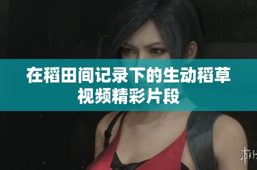 在稻田间记录下的生动稻草视频精彩片段