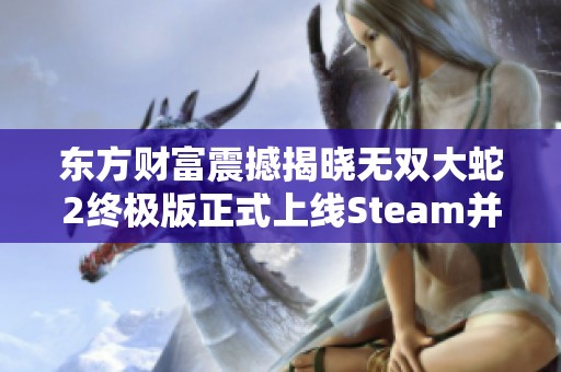 东方财富震撼揭晓无双大蛇2终极版正式上线Steam并支持中文