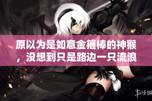 原以为是如意金箍棒的神猴，没想到只是路边一只流浪野猫