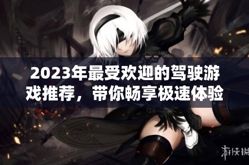 2023年最受欢迎的驾驶游戏推荐，带你畅享极速体验