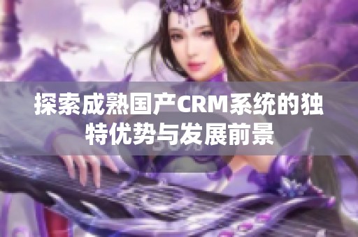 探索成熟国产CRM系统的独特优势与发展前景