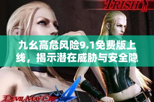 九幺高危风险9.1免费版上线，揭示潜在威胁与安全隐患