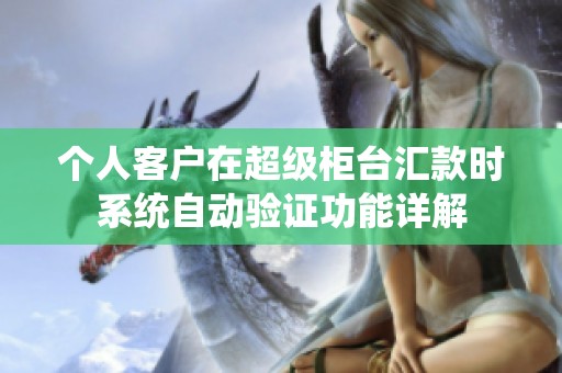 个人客户在超级柜台汇款时系统自动验证功能详解