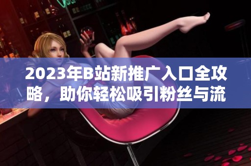 2023年B站新推广入口全攻略，助你轻松吸引粉丝与流量
