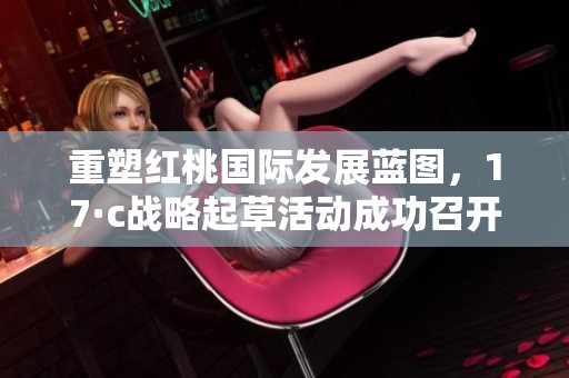 重塑红桃国际发展蓝图，17·c战略起草活动成功召开