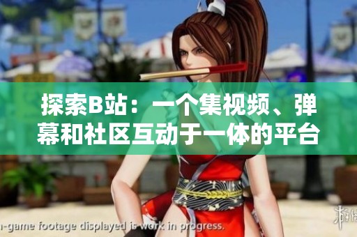 探索B站：一个集视频、弹幕和社区互动于一体的平台解析