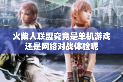 火柴人联盟究竟是单机游戏还是网络对战体验呢