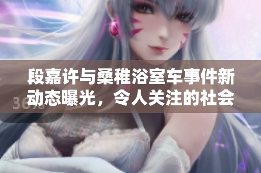 段嘉许与桑稚浴室车事件新动态曝光，令人关注的社会新闻