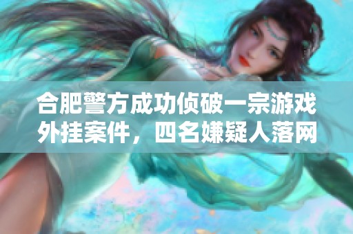 合肥警方成功侦破一宗游戏外挂案件，四名嫌疑人落网