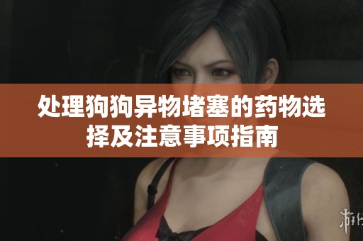 处理狗狗异物堵塞的药物选择及注意事项指南
