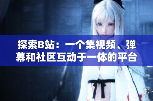 探索B站：一个集视频、弹幕和社区互动于一体的平台解析
