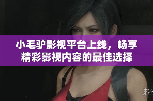 小毛驴影视平台上线，畅享精彩影视内容的最佳选择