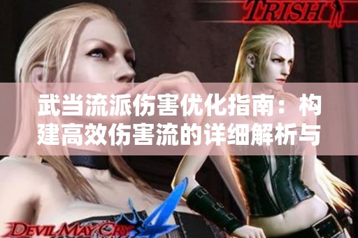 武当流派伤害优化指南：构建高效伤害流的详细解析与建议