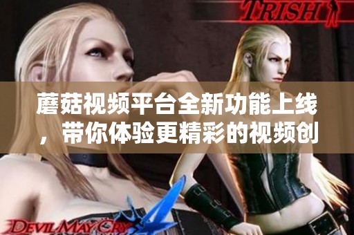 蘑菇视频平台全新功能上线，带你体验更精彩的视频创作之旅