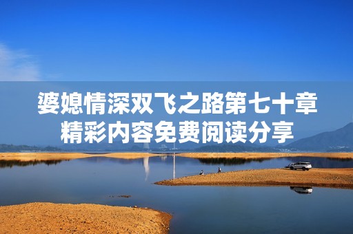 婆媳情深双飞之路第七十章精彩内容免费阅读分享