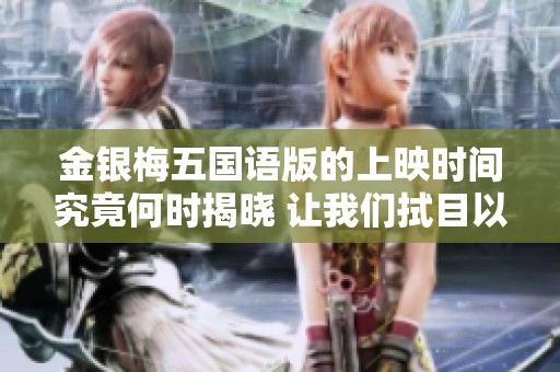 金银梅五国语版的上映时间究竟何时揭晓 让我们拭目以待