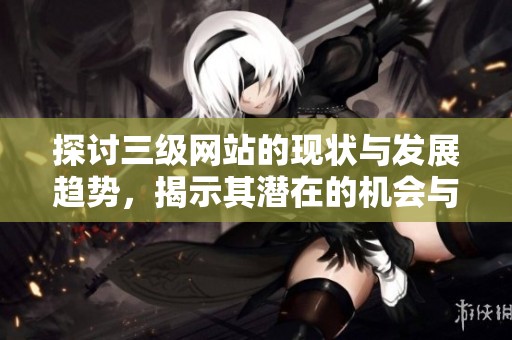 探讨三级网站的现状与发展趋势，揭示其潜在的机会与挑战