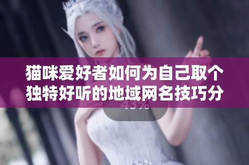 猫咪爱好者如何为自己取个独特好听的地域网名技巧分享
