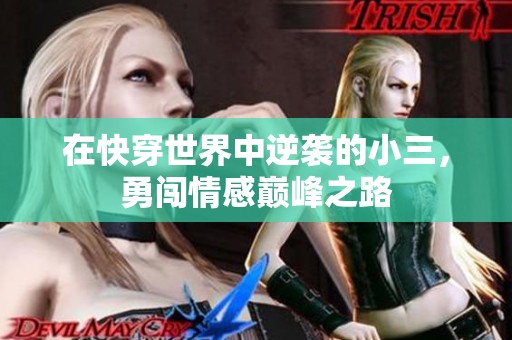 在快穿世界中逆袭的小三，勇闯情感巅峰之路