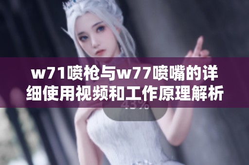 w71喷枪与w77喷嘴的详细使用视频和工作原理解析
