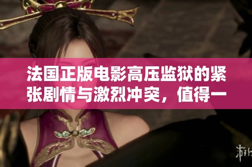 法国正版电影高压监狱的紧张剧情与激烈冲突，值得一看！