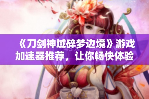 《刀剑神域碎梦边境》游戏加速器推荐，让你畅快体验Steam游戏乐趣