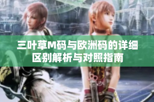 三叶草M码与欧洲码的详细区别解析与对照指南