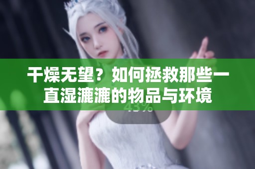 干燥无望？如何拯救那些一直湿漉漉的物品与环境