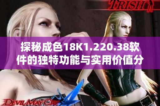 探秘成色18K1.220.38软件的独特功能与实用价值分析