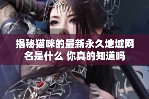 揭秘猫咪的最新永久地域网名是什么 你真的知道吗