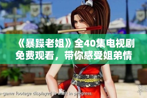 《暴躁老姐》全40集电视剧免费观看，带你感受姐弟情深的欢笑与泪水