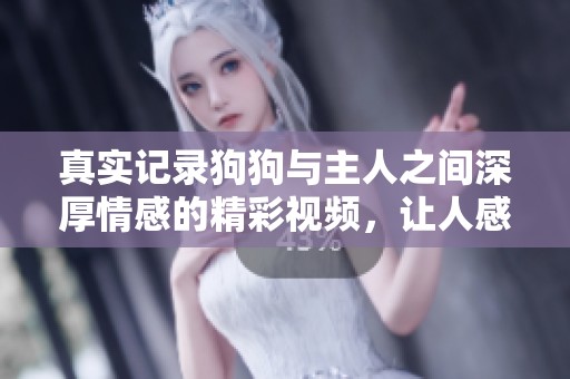 真实记录狗狗与主人之间深厚情感的精彩视频，让人感动不已