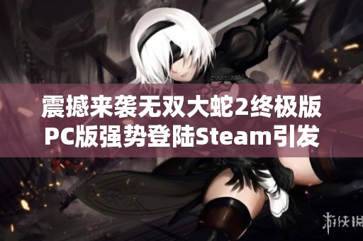 震撼来袭无双大蛇2终极版PC版强势登陆Steam引发热议