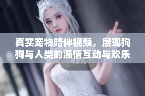 真实宠物陪伴视频，展现狗狗与人类的温情互动与欢乐瞬间