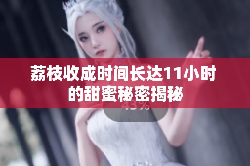 荔枝收成时间长达11小时 的甜蜜秘密揭秘