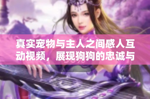 真实宠物与主人之间感人互动视频，展现狗狗的忠诚与情感