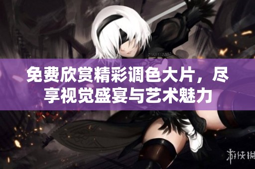 免费欣赏精彩调色大片，尽享视觉盛宴与艺术魅力