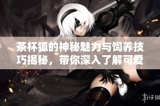 茶杯狐的神秘魅力与饲养技巧揭秘，带你深入了解可爱的茶杯狐世界