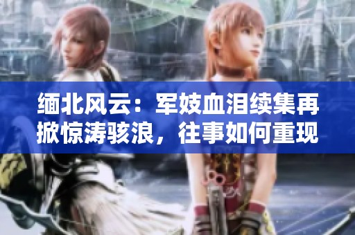 缅北风云：军妓血泪续集再掀惊涛骇浪，往事如何重现