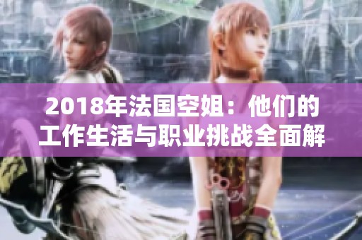 2018年法国空姐：他们的工作生活与职业挑战全面解析