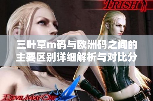三叶草m码与欧洲码之间的主要区别详细解析与对比分析