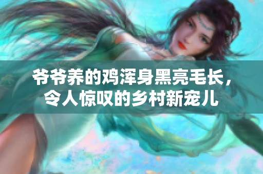 爷爷养的鸡浑身黑亮毛长，令人惊叹的乡村新宠儿