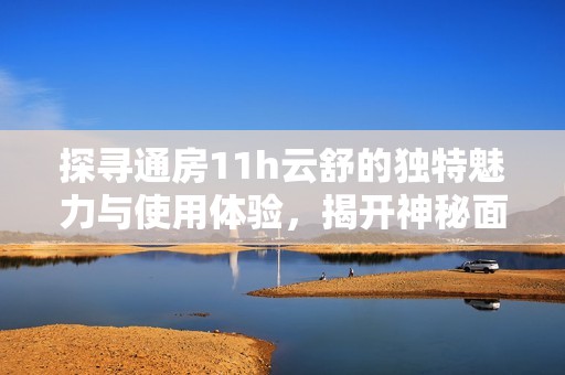 探寻通房11h云舒的独特魅力与使用体验，揭开神秘面纱