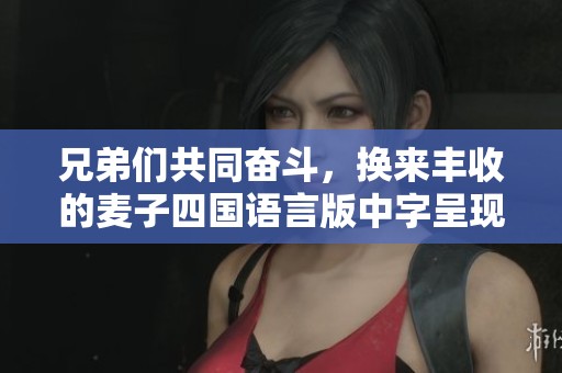 兄弟们共同奋斗，换来丰收的麦子四国语言版中字呈现
