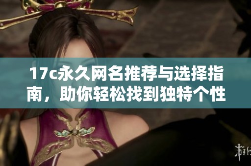 17c永久网名推荐与选择指南，助你轻松找到独特个性化的网名方案