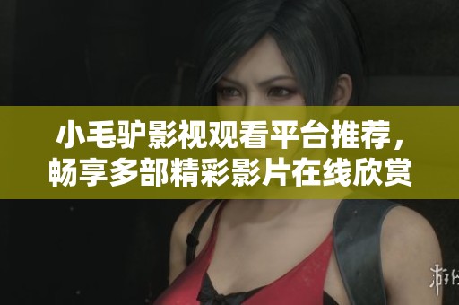 小毛驴影视观看平台推荐，畅享多部精彩影片在线欣赏